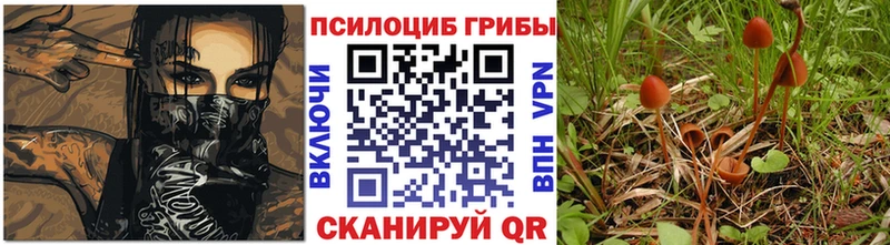 Галлюциногенные грибы Psilocybe  Горячий Ключ 