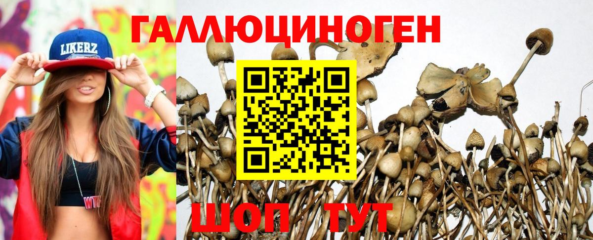 Псилоцибиновые грибы Psilocybine cubensis  Вход с VPN  Псилоцибиновые грибы Psilocybine cubensis  Горячий Ключ 