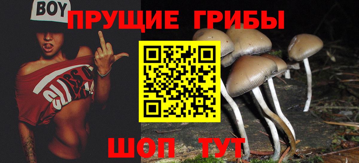 Галлюциногенные грибы GOLDEN TEACHER Горячий Ключ